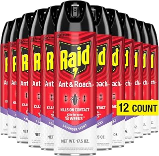 Raid Ant & Roach Killer Aerosol Spray Kills on Contact Keeps Killing for up to 13 Weeks Lavender Scent 17.5 Ounce (Pack of 12)