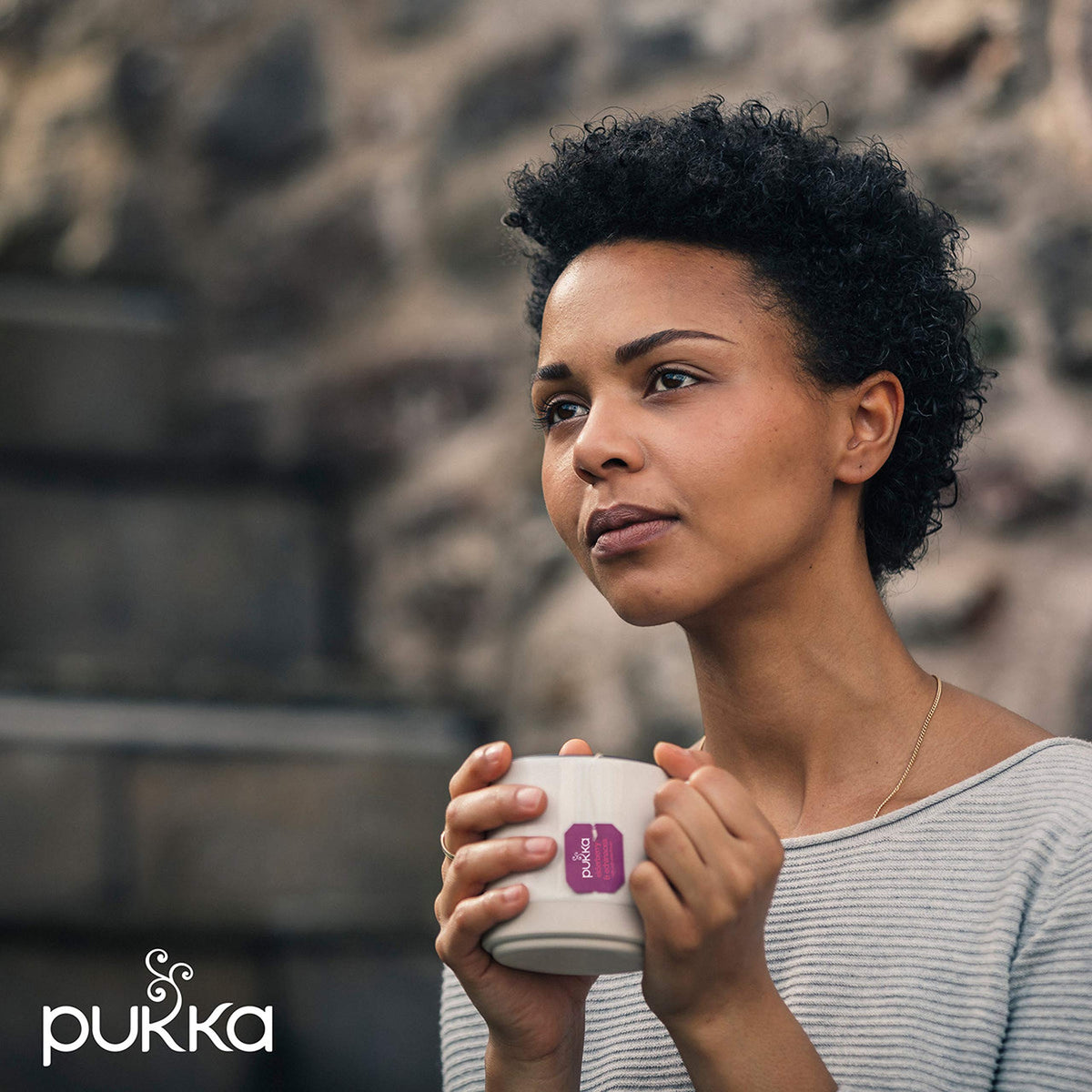 Pukka 20 Count (Pack of 2) / Elderberry & Echinacea / 1 Herbal
