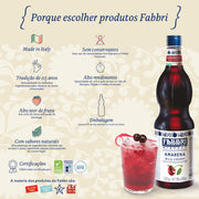 Flavoring Syrup by Fabbri – 33.8 Fl Oz (Pack of 1), Model 0002516