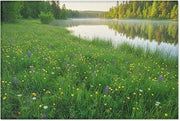Lakeside Meadow Glowing Green Area Rug 24 x 36 in with Scattered Wildflowers
