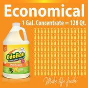 Aroma Eliminator Set by OdoBan – 69 Fl Oz (Pack of 2), Orange, Pack of 2, Model BND03455