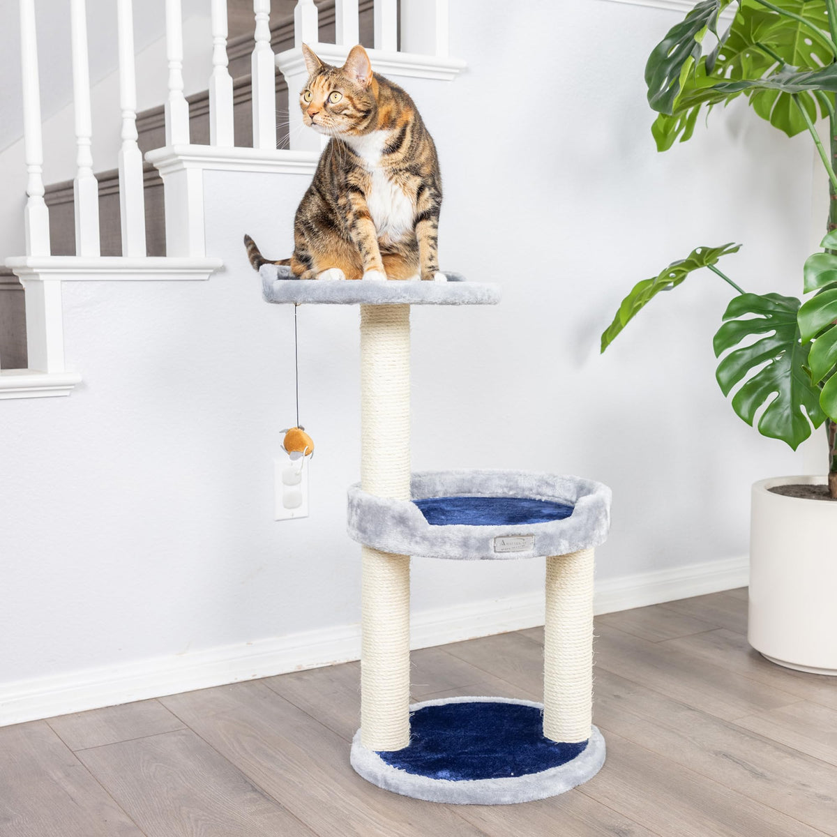 AeroMark Three Level Compact Scratcher by Armarkat – 14 LB, Engineered Wood, Silver Gray, Model X2905