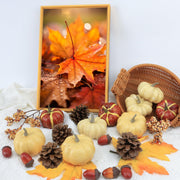 Ghrdopy Artificial Pumpkins Set, 23 Pieces, Style-7