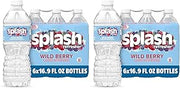 Splash Blast Refresher Wild Berry | 16.9 Fl Oz | Plastic Bottle | Pack of 12
