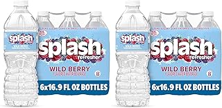 Splash Blast Refresher Wild Berry | 16.9 Fl Oz | Plastic Bottle | Pack of 12
