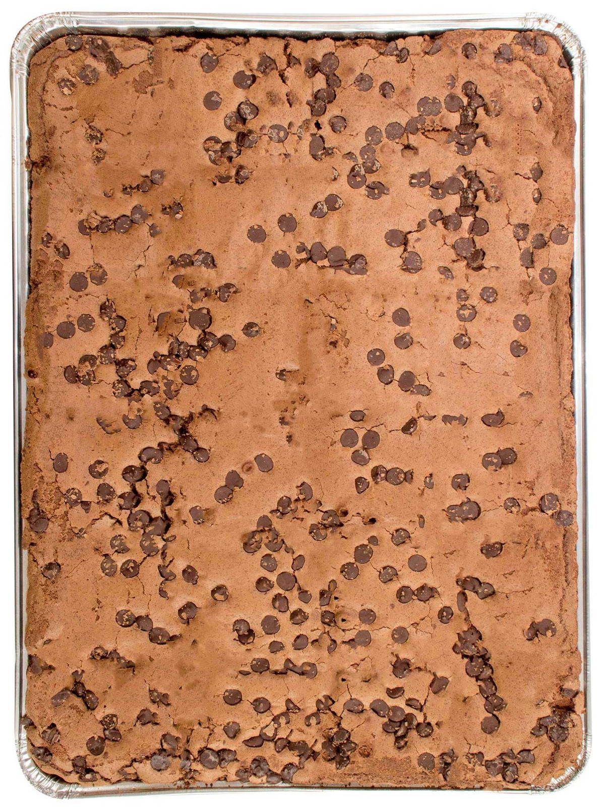 Davids Uncut Chocolate Chip Brownie by David's COOKIES – Commercial Grade
