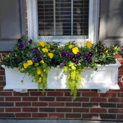 4ft White Durable Self Watering Window Box Planter with Wall Mount Brackets (5823-W) Bundle with Decorative Brackets by Mayne – 4ft, Polyethylene (PE), White, Model Fairfield