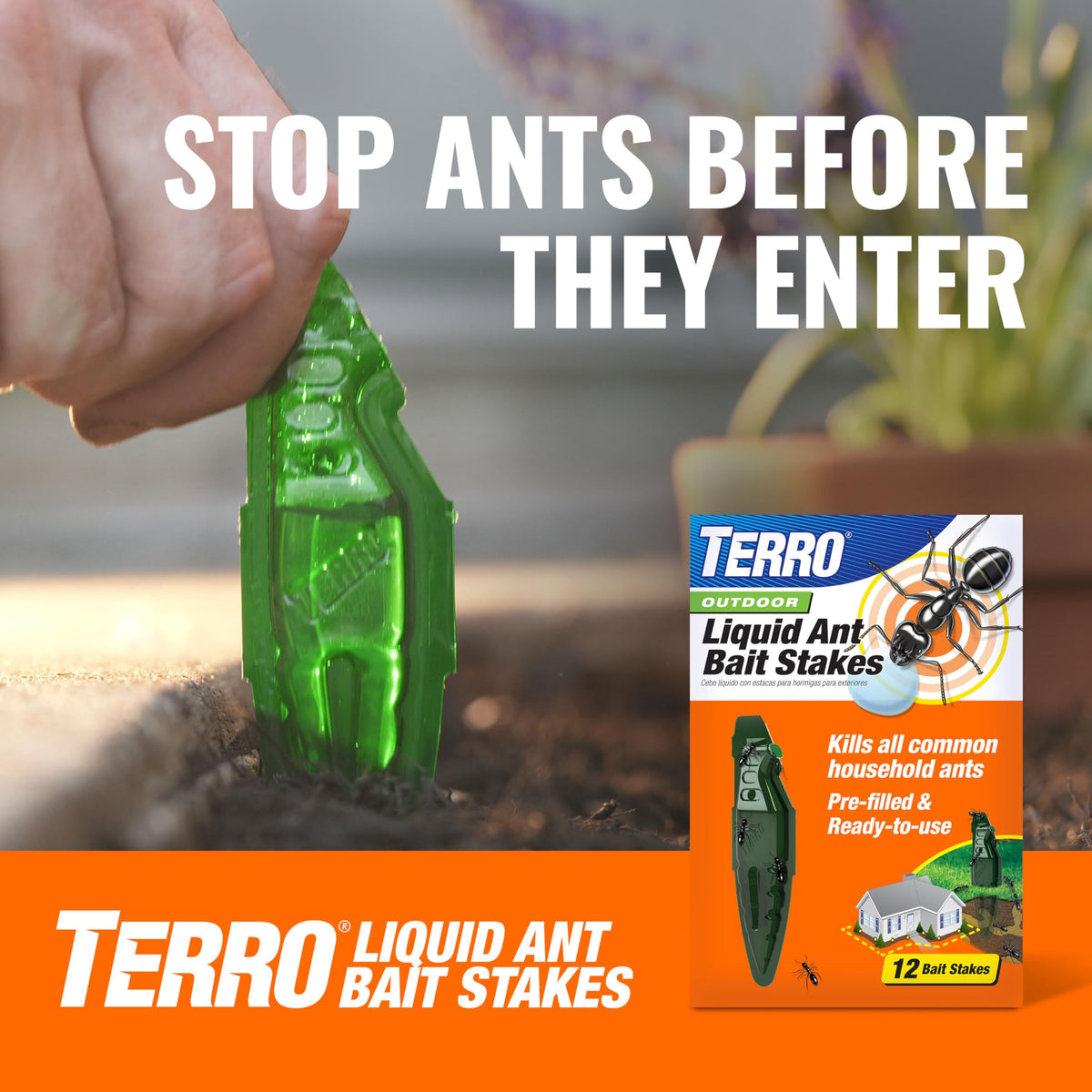 Indoor Liquid Ant Baits with Adhesive Strips for Discreet Baiting - TERRO Ant Trap and Bait Station - 4 Count - T334B (Pack of 5) – 4 Bait Stations, Plastic, Orange