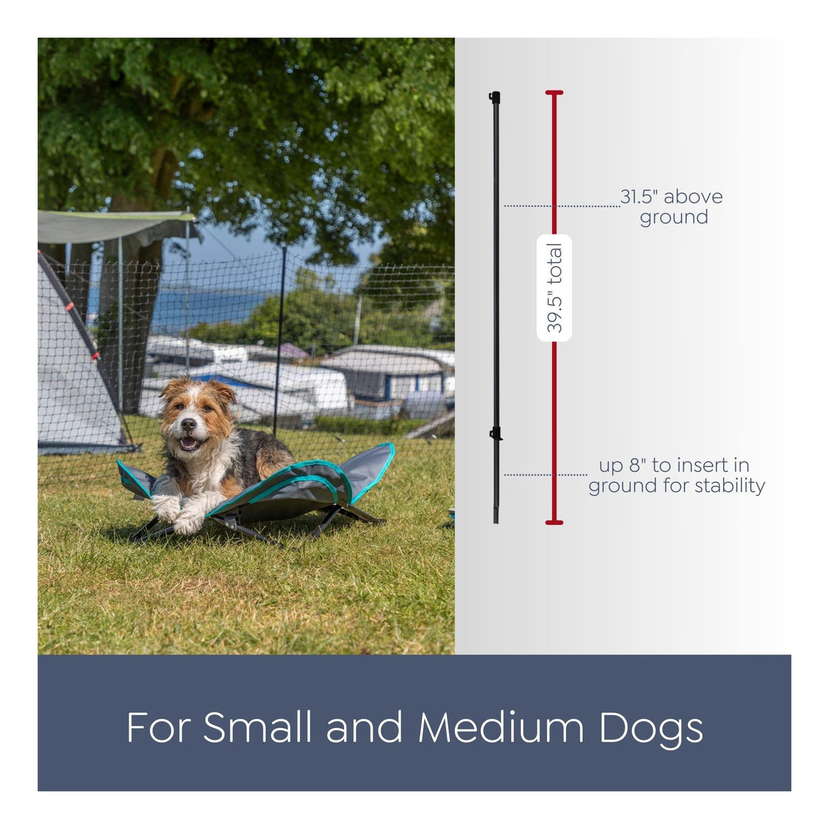 Portable Pet Fence by Trixie – Plastic, Black, Model 39539