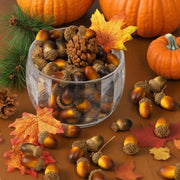 Cllayees Artificial Acorns, 120 Pack, Light Brown and Dark Brown