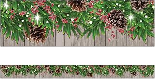 Teacher Created Resources Winter Pine Cones Straight Border Trim (TCR8456)