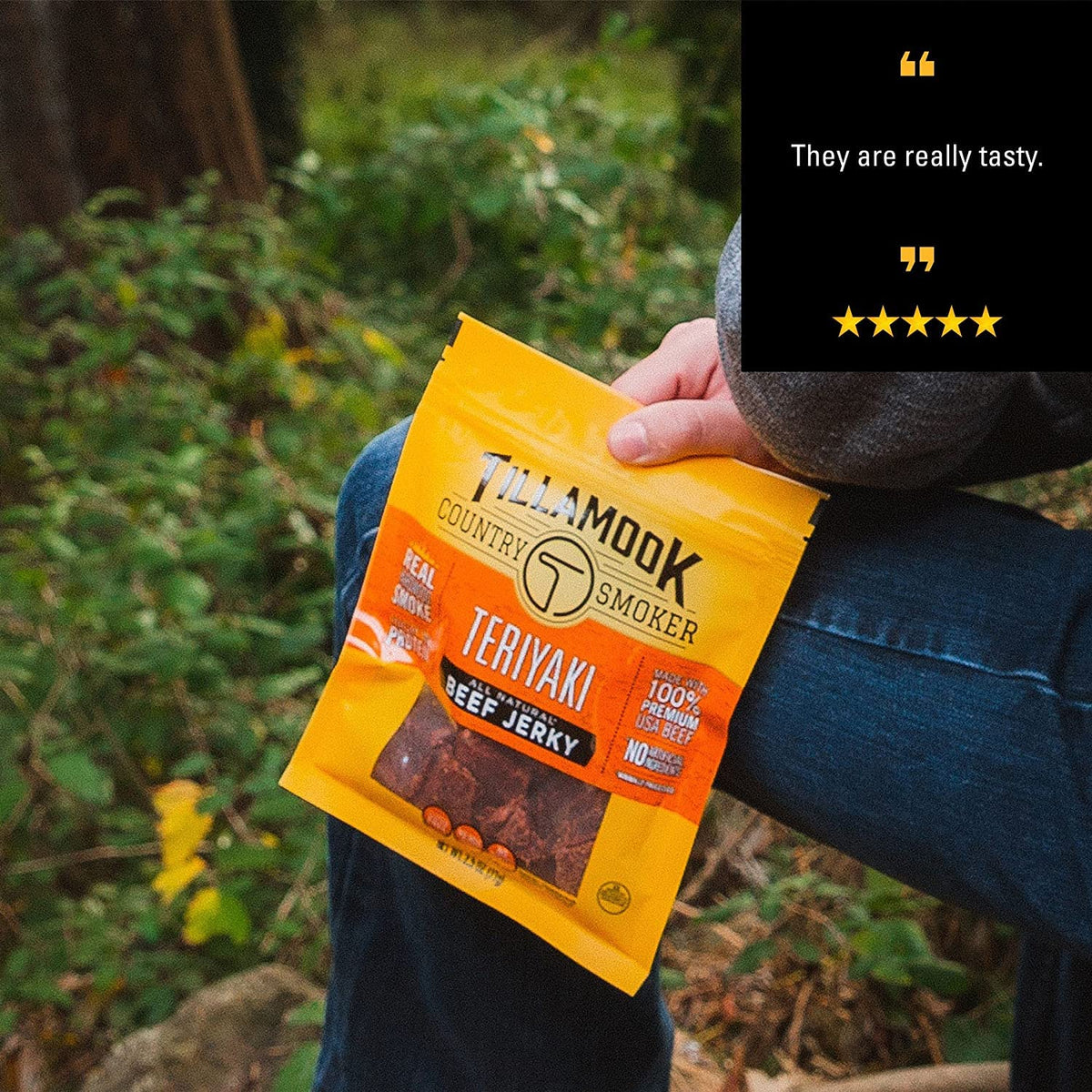TILLAMOOK COUNTRY SMOKER Teriyaki / 2.5 Ounce (Pack of 2) / 1 Jerky