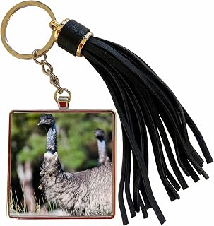 3dRose Emu wildlife, Victoria, Australia - AU01 MZW0318 - Martin Zwick Tassel Key Chain