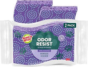 Scotch-Brite Odor Resist sponges,2 Pack
