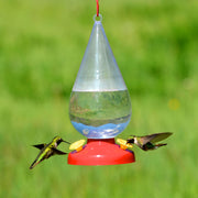 Dew Drop 32-Ounce Plastic Hummingbird Feeder by Perky-Pet – 4.63"L x 4.62"W x 10.22"H, 32 fluid_ounces, Plastic, Clear