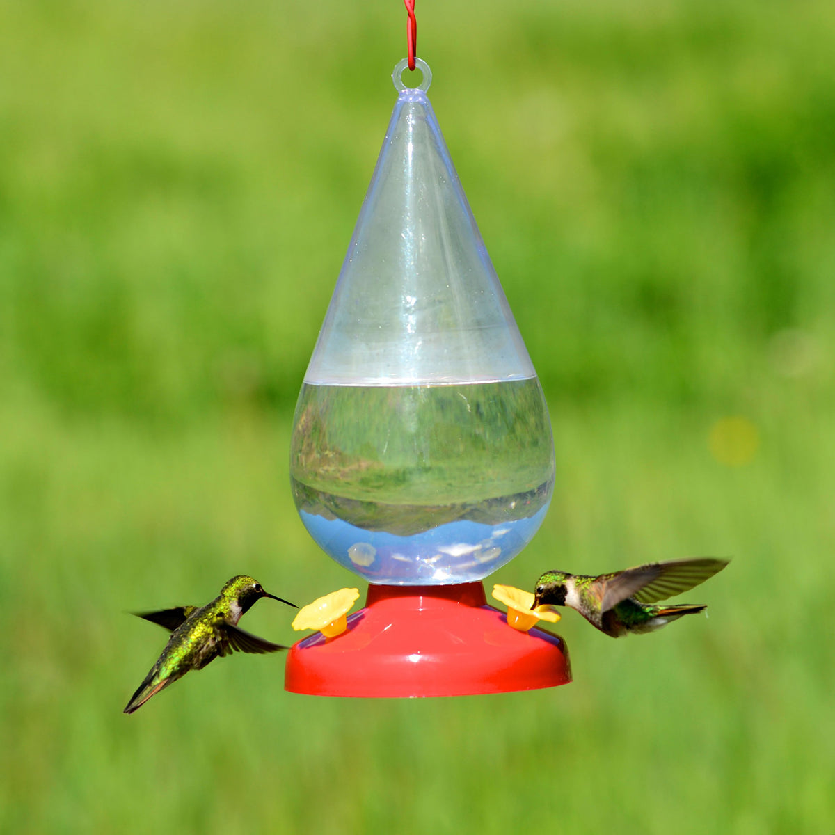 Dew Drop 32-Ounce Plastic Hummingbird Feeder by Perky-Pet – 4.63"L x 4.62"W x 10.22"H, 32 fluid_ounces, Plastic, Clear