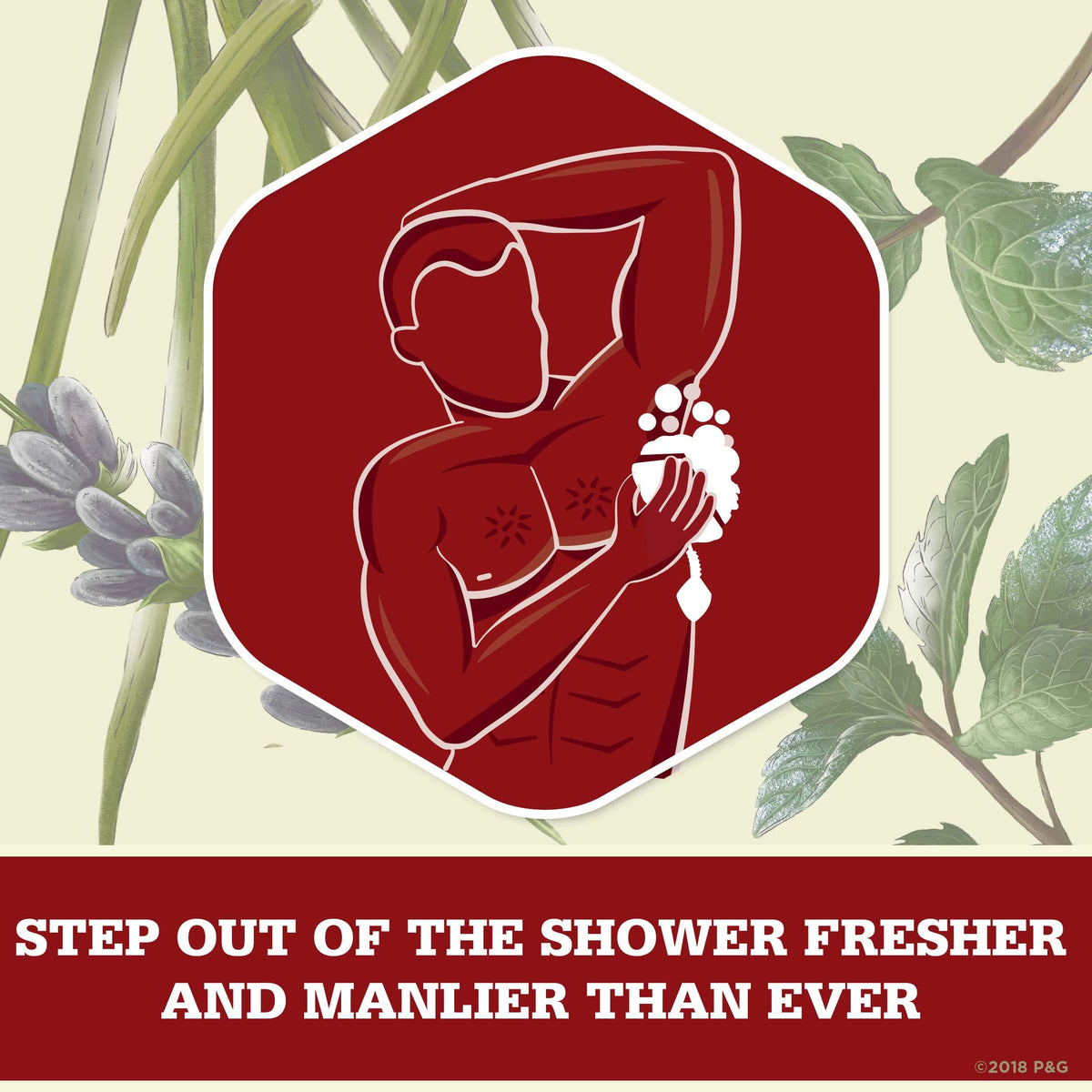 Old Spice 16 Fl Oz (Pack of 1) / Timber / White Body Washes