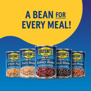Bush's Best Pinto Beans / 111 Ounce (Pack of 6) / 1 Pinto Beans