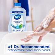 Dial 30 Fl Oz (Pack of 2) / Azul / 1 Hand Wash