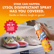 Disinfectant Spray by Lysol – 19 Fl Oz (Pack of 4), Pack of 4