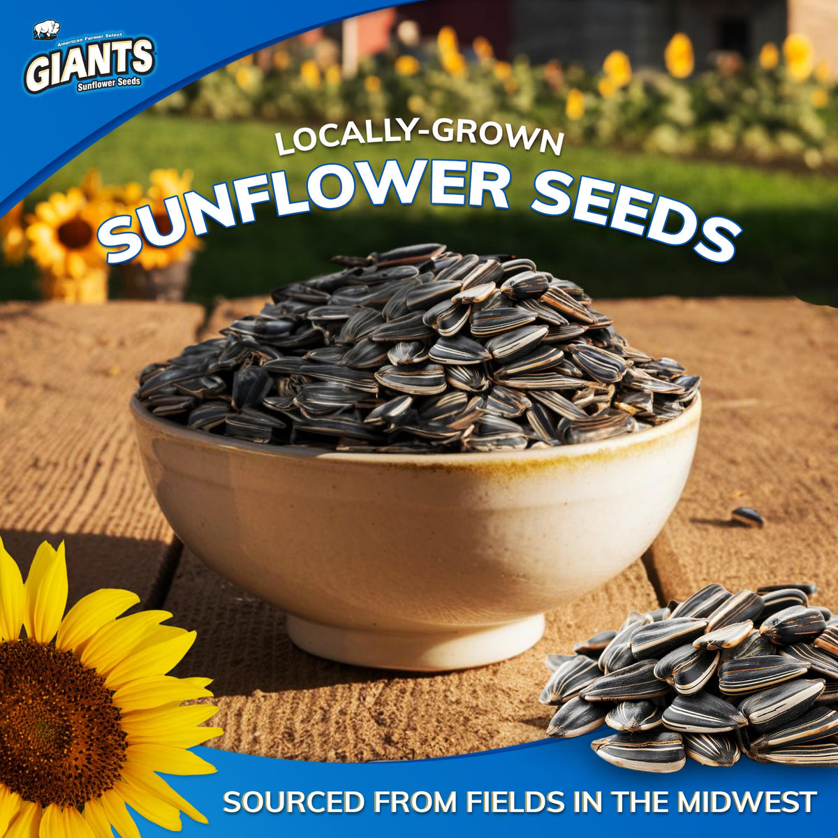 GIANTS Kettle Roast Sweet & Salty Sunflower Seeds - Sunflower Seeds Bulk by GIANTS SUNFLOWER SEEDS – 5 Ounce (Pack of 12), Pack of 12, Model 24555