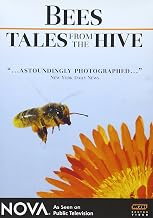 NOVA: Bees - Tales From the Hive
