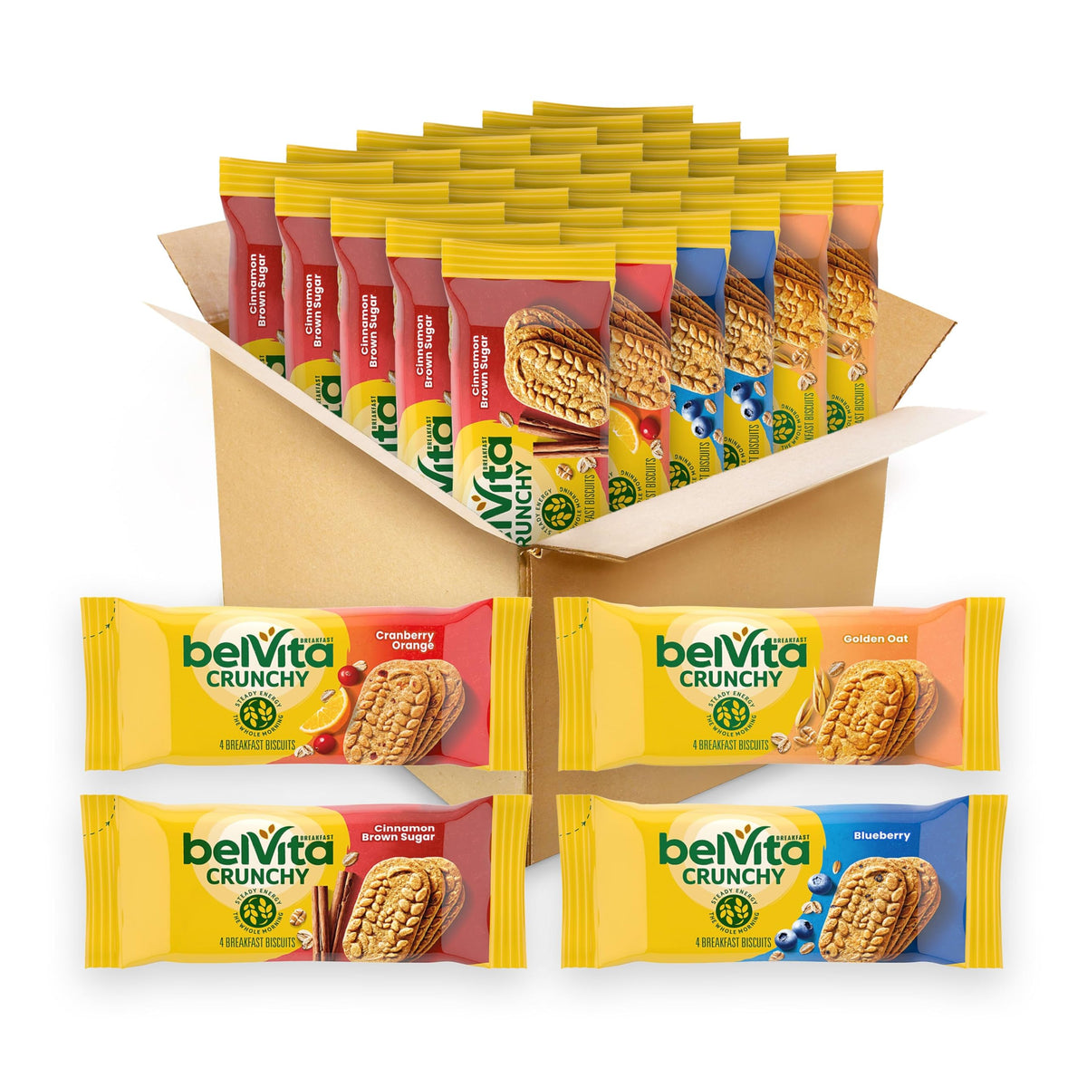 Belvita Basic / Variety / 8.8 Ounce (Pack of 6) Breads & Bakery