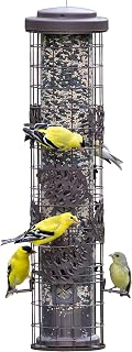 Perky-Pet SBG101 Squirrel Off Max Pinecone Bird Feeder with Flexports – 1.75 lb Capacity
