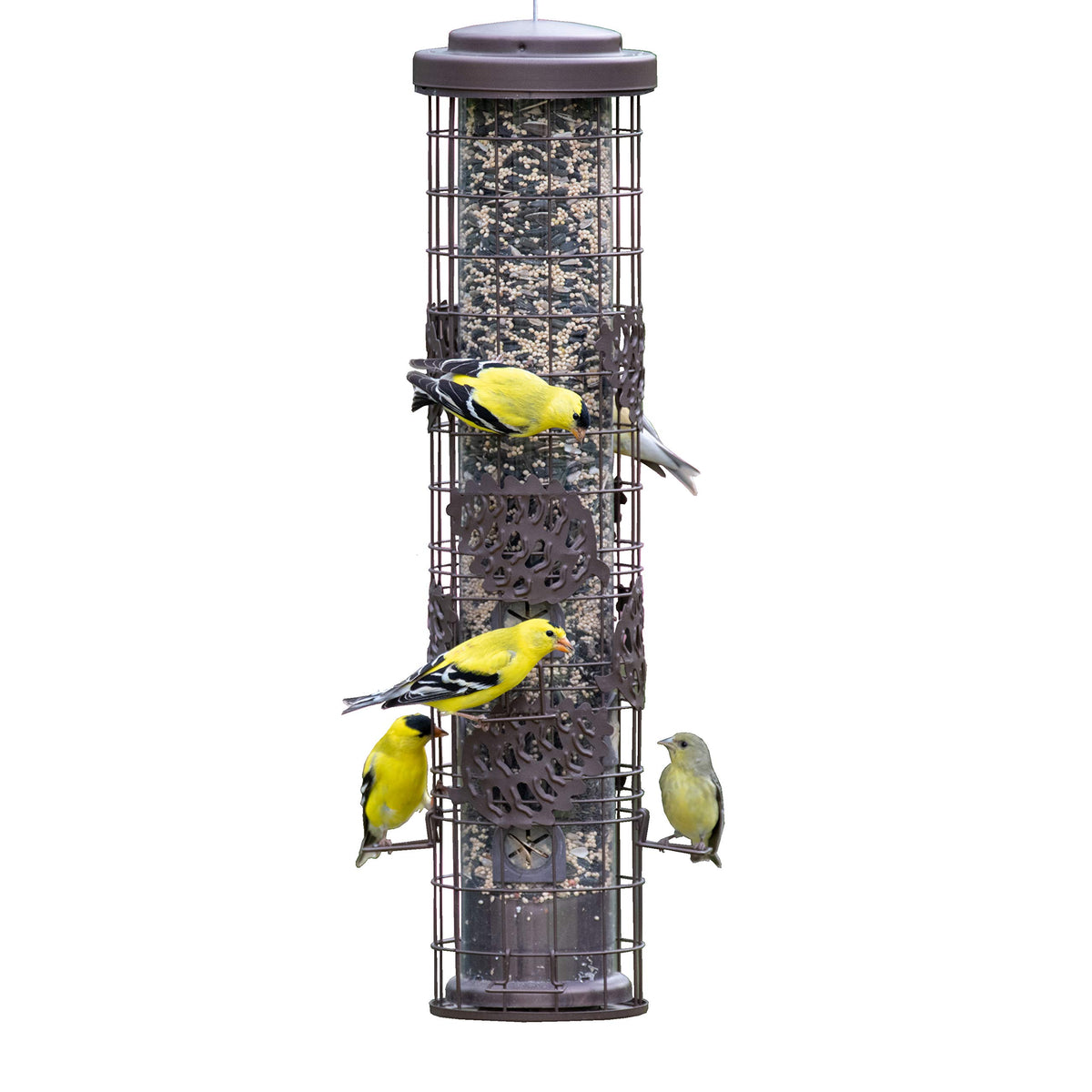 SBG101 Squirrel Off Max Pinecone Bird Feeder with Flexports by Perky-Pet – 1.75 pounds, Metal, Bronze, Model SBG101-1SR