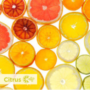 Georgia-Pacific Citrus / Citrus - 12 Screens / Regular Janitorial Deodorizers