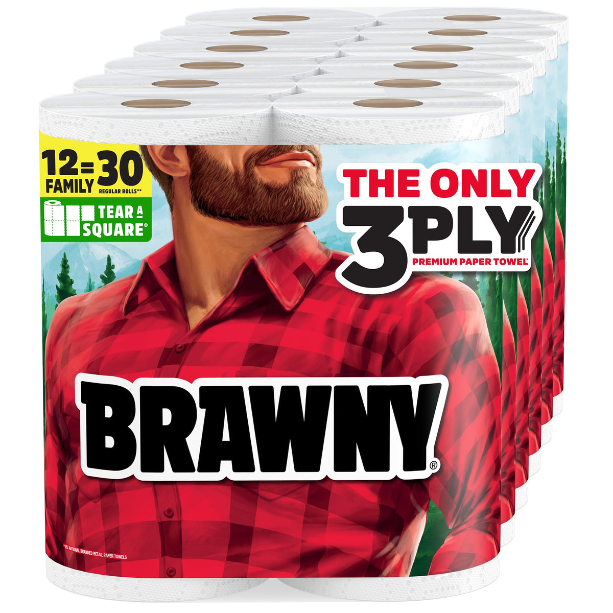 Brawny 12 Family Rolls (100 Sheets Each) / White / 1 Paper Towels