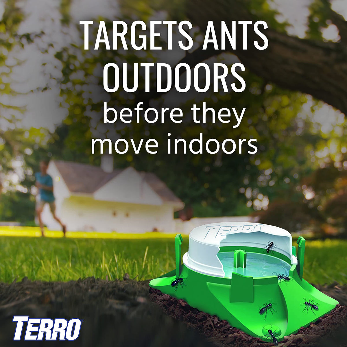 2-Pack Outdoor Liquid Ant Baits-12 Traps by Terro – 12 Bait Stations, Clear, Model T1806SR