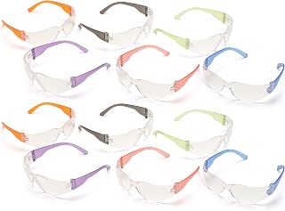 Pyramex Intruder Safety Eyewear Clear Frame Full Foam Padding Clear Anti-Fog Lens