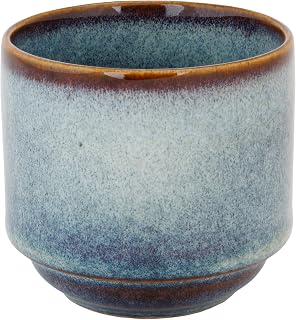 Cosy & Trendy 6 Stoneware Jade Indigo Mugs 200ml
