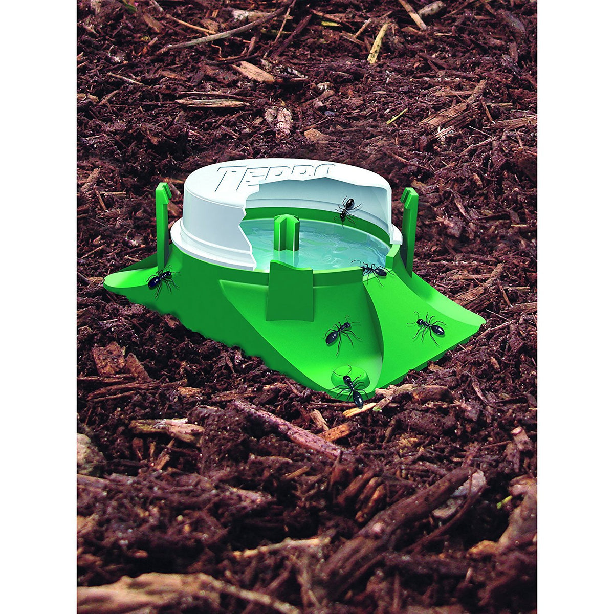 1806 Outdoor Liquid Ant Baits by Terro – 6 Bait Stations, Clear, Model 755524
