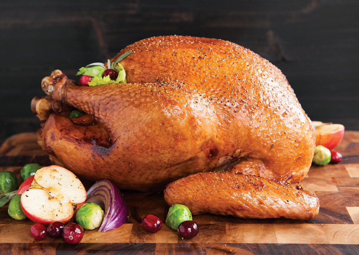 Turkey Roaster with Rack by Nordic Ware – X-Large with Rack, Alloy Steel, Copper, Model 41733