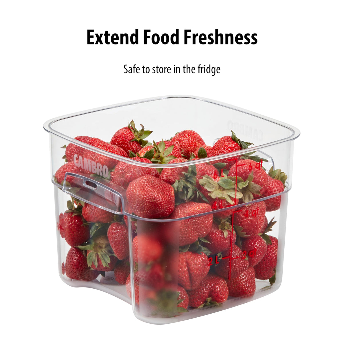 FreshPro 6Qt Food Storage Container in Clear for Industrial and Kitchen Use by Cambro – 6.0 quarts, Polycarbonate (PC), Clear, Model 6SFSPROCW135