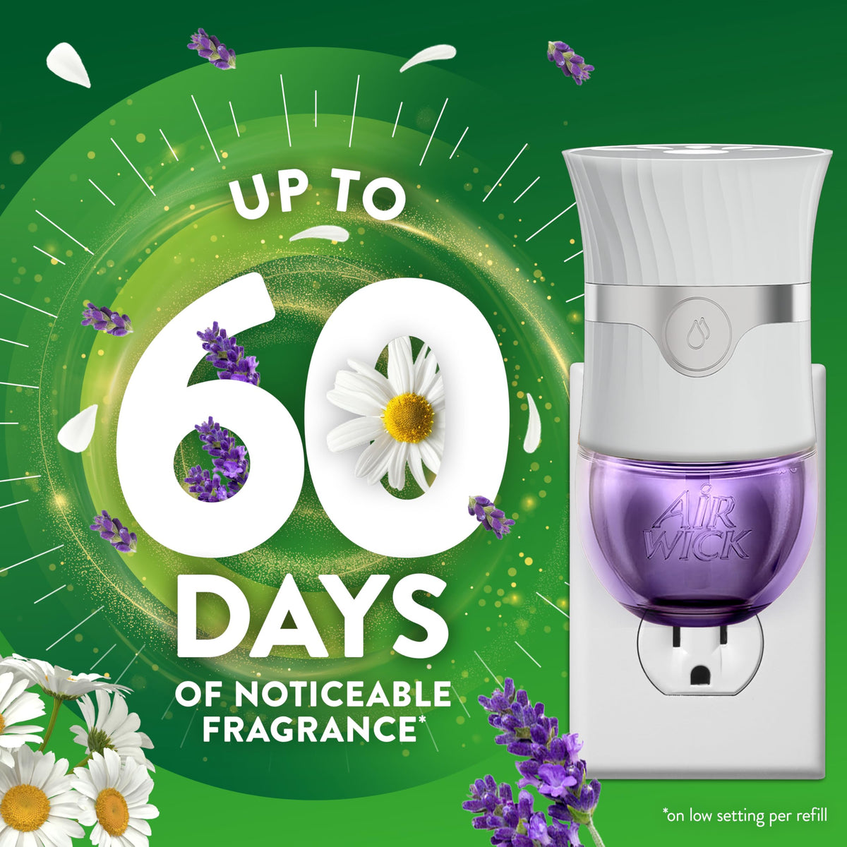 Air Wick 1.65 Fl Oz (Pack of 2) / 5 ct / Lavender & Chamomile Electric