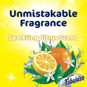 Antibacterial Multi-Purpose Cleaner by Fabuloso – 16.9 Fl Oz (Pack of 1), Model MX07179A
