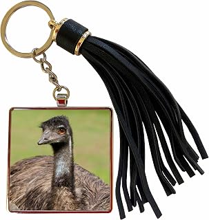 3dRose Australia, Adelaide. Cleland Wildlife Park. Large flightless Emu. Tassel Key Chain