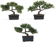 Nearly Natural 12in. Bonsai Silk Plant Collection (Set of 3)