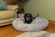 Extra Large by Armarkat – Extra Large, Soft plush, Silver gray, Model C71NHS