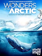 Wonders of the Arctic