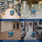Water Damage/Flood Restore Pack with Commercial Dehumidifier by ALORAIR – teal, Pack of 4, Model Storm LGR Extreme