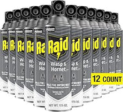 Raid Wasp and Hornet Killer, 17.5 Oz (Pack of 12)