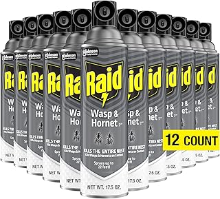 Raid Wasp and Hornet Killer, 17.5 Oz (Pack of 12)