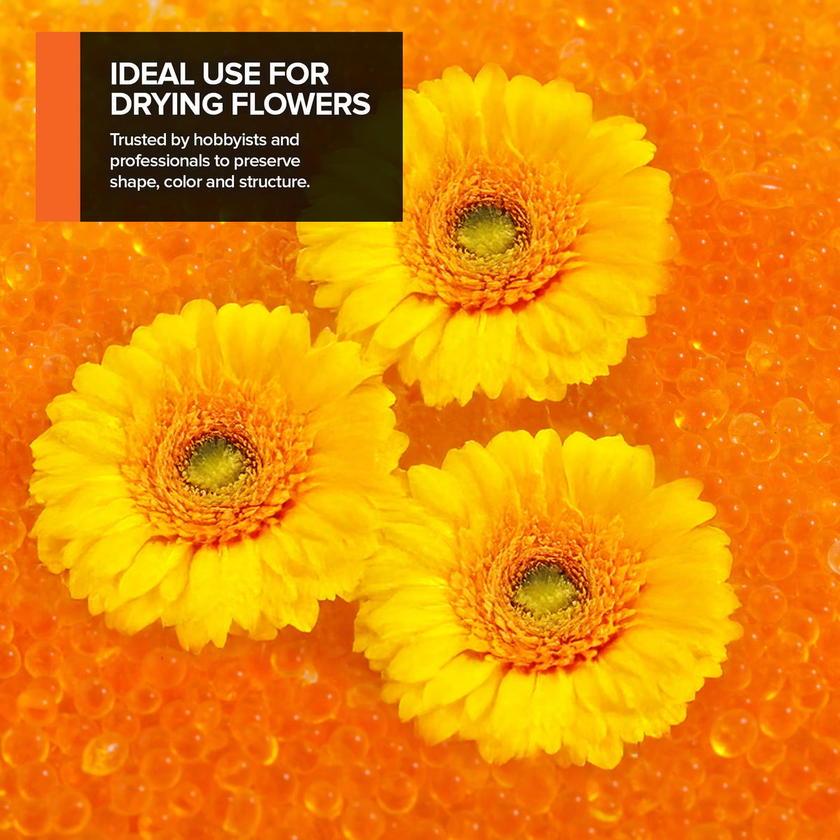 Stock Your Home Orange / 1 Desiccants