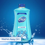 Dial 32 Fl Oz (Pack of 2) / Spring Water / White Hand Wash
