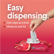 Scentiva Disinfecting Wipes by Clorox – 225 Count (Pack of 1), White, Model 10044600601462