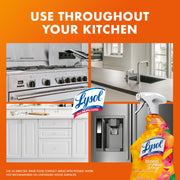 Lysol 32 Fl Oz (Pack of 2) / Mango and Hibiscus / Mango All-Purpose Cleaners